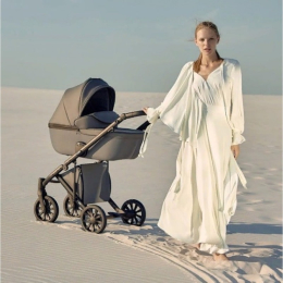 Коляска 3 в 1 Anex e/type Gothic (et-03A)