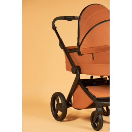 Коляска 3 в 1 Anex l/type Ginger (lt-08t)