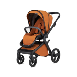 Коляска 3 в 1 Anex l/type Ginger (lt-08t)