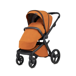 Коляска 3 в 1 Anex l/type Ginger (lt-08t)