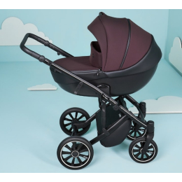 Коляска 3 в 1 Anex m/type Grape Sp28–Q, бордовый