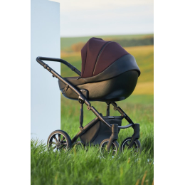 Коляска 3 в 1 Anex m/type Grape Sp28–Q, бордовый