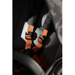 Коляска 2 в 1 Anex m/type Special Edition Hide (QSE-06)