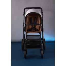 Коляска 2 в 1 Anex m/type Special Edition Noble (QSE-05)