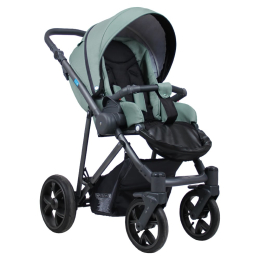 Коляска 2 в 1 Aroteam Belino, 03 (шалфей)