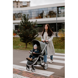 Прогулочная коляска Carrello Vista, Shark Grey (Серый)