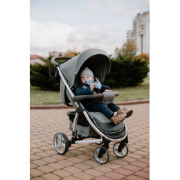 Прогулочная коляска Carrello Vista, Shark Grey (Серый)
