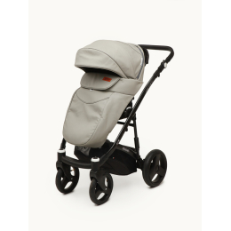 Коляска 2 в 1 Riko Basic Aicon Ecco, 05 графит