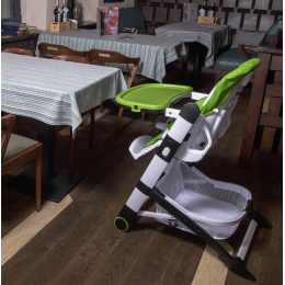 Стульчик для кормления Carrello Apricus Powdery Beige