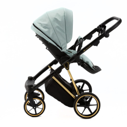 Коляска 2 в 1 Adamex Belissa Special Edition B-PS548