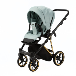 Коляска 3 в 1 Adamex Belissa Special Edition B-PS548