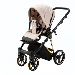 Коляска 2 в 1 Adamex Belissa Special Edition B-PS560