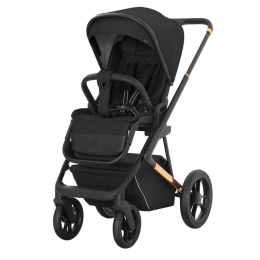 Коляска 3 в 1 Carrello Sigma, CRL-6510, Raven Black (черный)