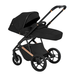 Коляска 3 в 1 Carrello Sigma, CRL-6510, Raven Black (черный)