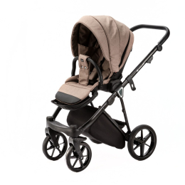 Коляска 2 в 1 Adamex Belissa PS-15