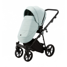Коляска 2 в 1 Adamex Belissa PS-25