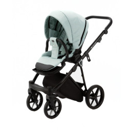 Коляска 2 в 1 Adamex Belissa PS-25