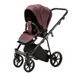 Коляска 2 в 1 Adamex Belissa PS-40