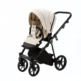 Коляска 2 в 1 Adamex Belissa PS-43