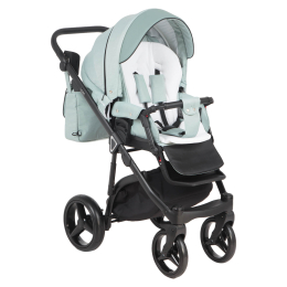 Коляска 2 в 1 Adamex Cortina CT-225