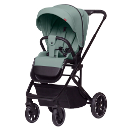 Коляска 2 в 1 Carrello Alfa, CRL-6507, Parrot Green (Зеленый)