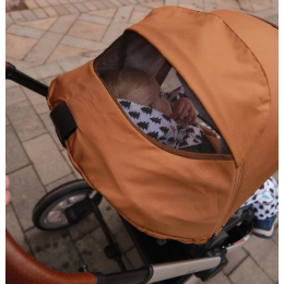 Коляска 2 в 1 Rant Flex 2022, RA070 Desert Beige (Бежевый)