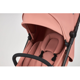Прогулочная коляска Anex Air-Z, Blush Az-05 (Розовый)