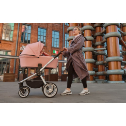Коляска 2 в 1 Rant Flex 2022, RA070 Cloud Pink (Розовый)