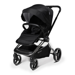 Коляска 2 в 1 Labala Raiz, 02BLA, Black (черный)