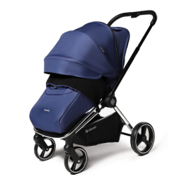 Коляска 2 в 1 Labala Raiz, 03BLU, Blue (синий)