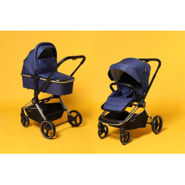 Коляска 2 в 1 Labala Raiz, 03BLU, Blue (синий)