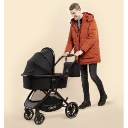 Коляска 2 в 1 Labala Born, 01BLA, Black (черный)