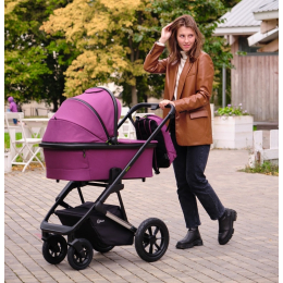 Коляска 2 в 1 Rant Axiom, RA093, Purple (фиолетовый)