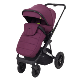 Коляска 2 в 1 Rant Axiom, RA093, Purple (фиолетовый)