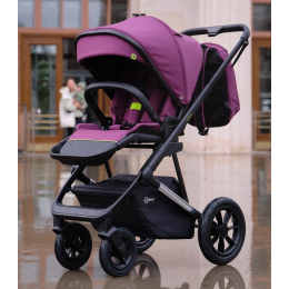 Коляска 3 в 1 Rant Axiom, RA094, Purple (фиолетовый)