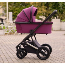Коляска 3 в 1 Rant Axiom, RA094, Purple (фиолетовый)