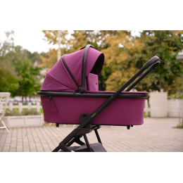 Коляска 3 в 1 Rant Axiom, RA094, Purple (фиолетовый)