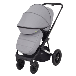 Коляска 2 в 1 Rant Axiom, RA093, Grey (серый)
