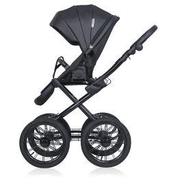Коляска 2 в 1 Riko Basic Montana Ecco Prestige, 12 Black (черный)