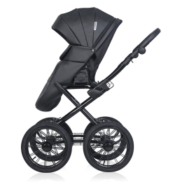 Коляска 2 в 1 Riko Basic Montana Ecco Prestige, 12 Black (черный)