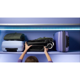 Прогулочная коляска Bugaboo Butterfly Forest Green с бампером