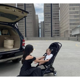 Прогулочная коляска Bugaboo Butterfly Midnight Black с бампером