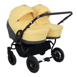 Коляска для двойни 2 в 1 Rant Siena Duo, 10 серый-желтый