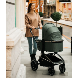 Коляска 2 в 1 Labala Raiz BL 2023, 08GRE, Green (Зеленый) 