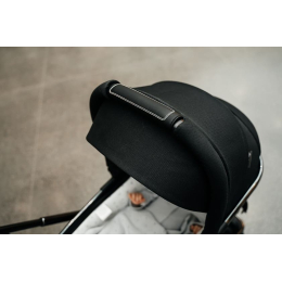 Коляска 2 в 1 Labala Raiz BL 2023, 02BLA, Black (Черный)