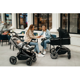 Коляска 2 в 1 Labala Raiz BL 2023, 02BLA, Black (Черный)