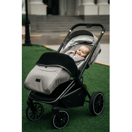 Коляска 2 в 1 Labala Raiz BL 2023, 07LGR, Light Grey (Серый) 