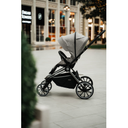 Коляска 2 в 1 Labala Raiz BL 2023, 13GR, Beige-Grey (серо-бежевый) 