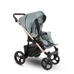 Коляска 2 в 1 Camarelo Belagio, BG-06, шалфей жаккард