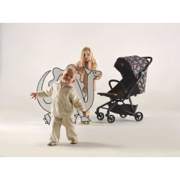 Прогулочная коляска Anex Air-Z, Arrr (Az-SE-02) черный с принтом